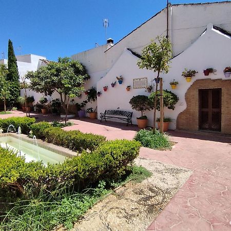 Puertosol 2 Appartement Estepona Buitenkant foto